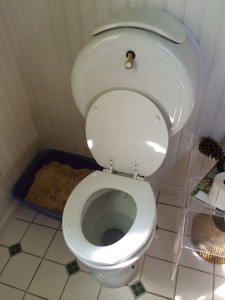 toilet bowl installation singapore
